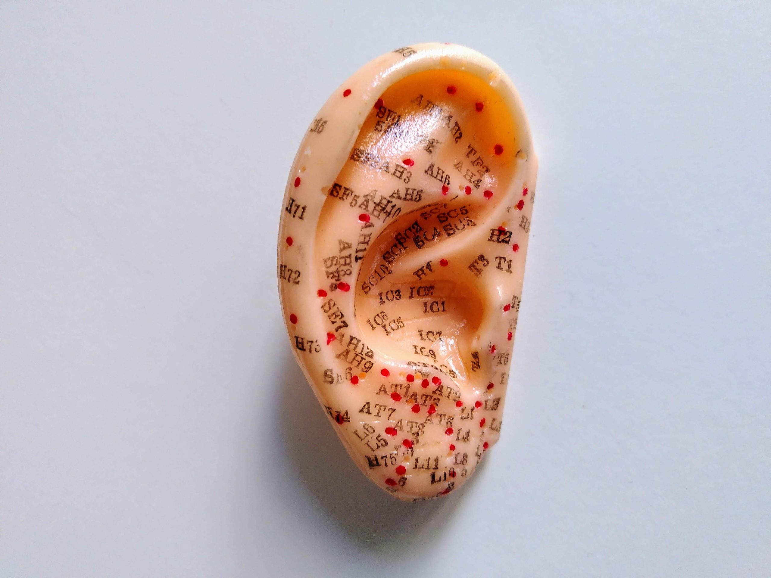 Auriculoterapia china