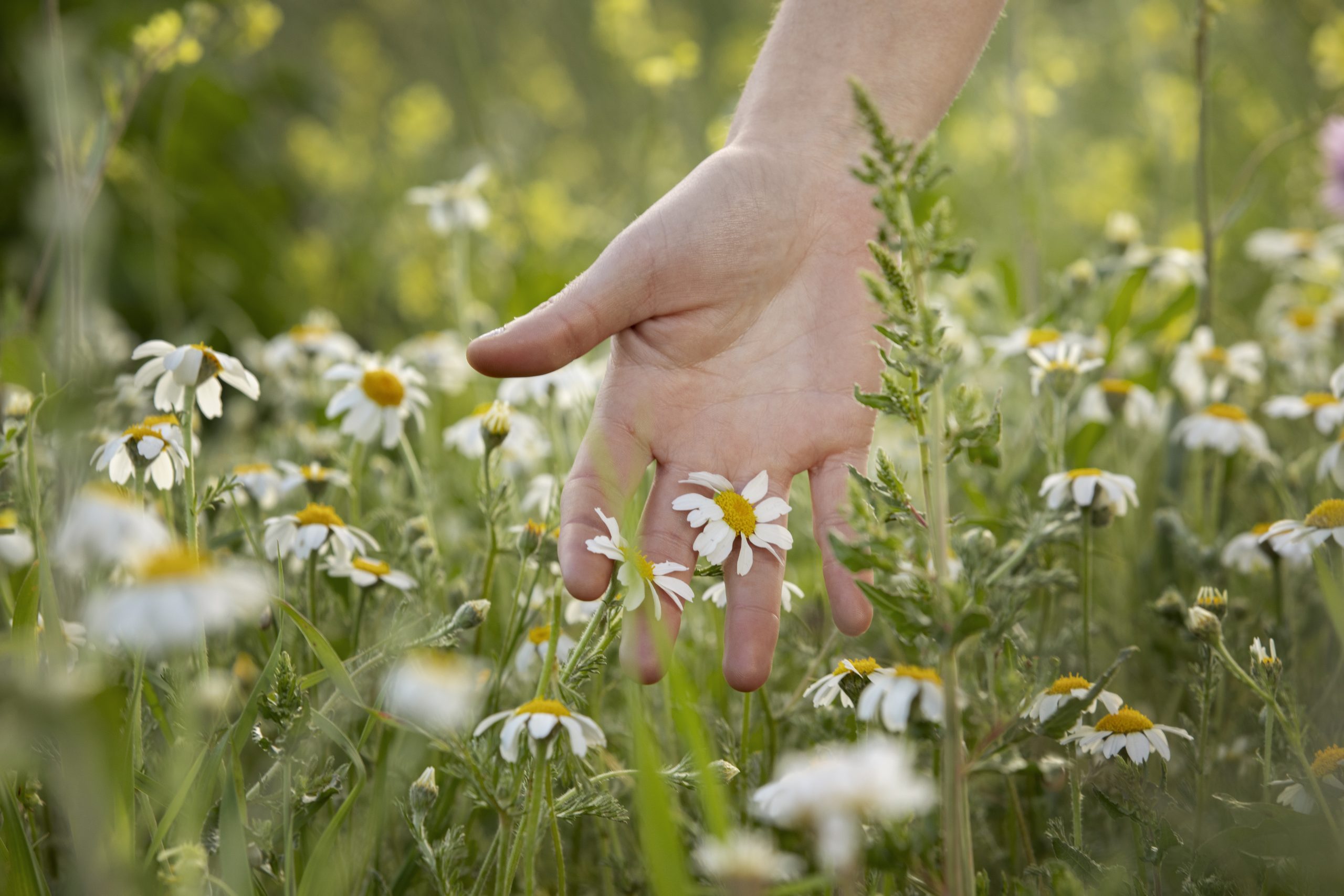 Alergias bye bye alergias